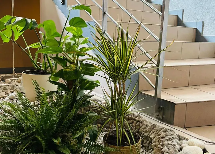 Nowa Panorama 3* Krakkó