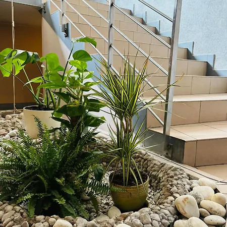 Nowa Panorama 3* 克拉科夫