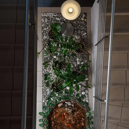 Nowa Panorama 克拉科夫